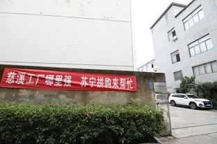 從銀川到慈溪 家電商人回鄉(xiāng)創(chuàng)業(yè)搞起 拼購(gòu)村